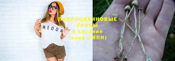 МДПВ Киреевск