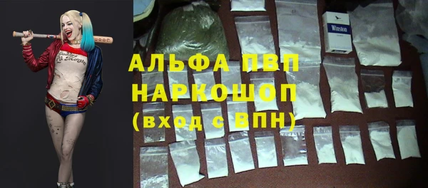тгк Касимов